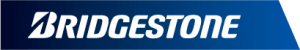 Bs Logo Image 300X50