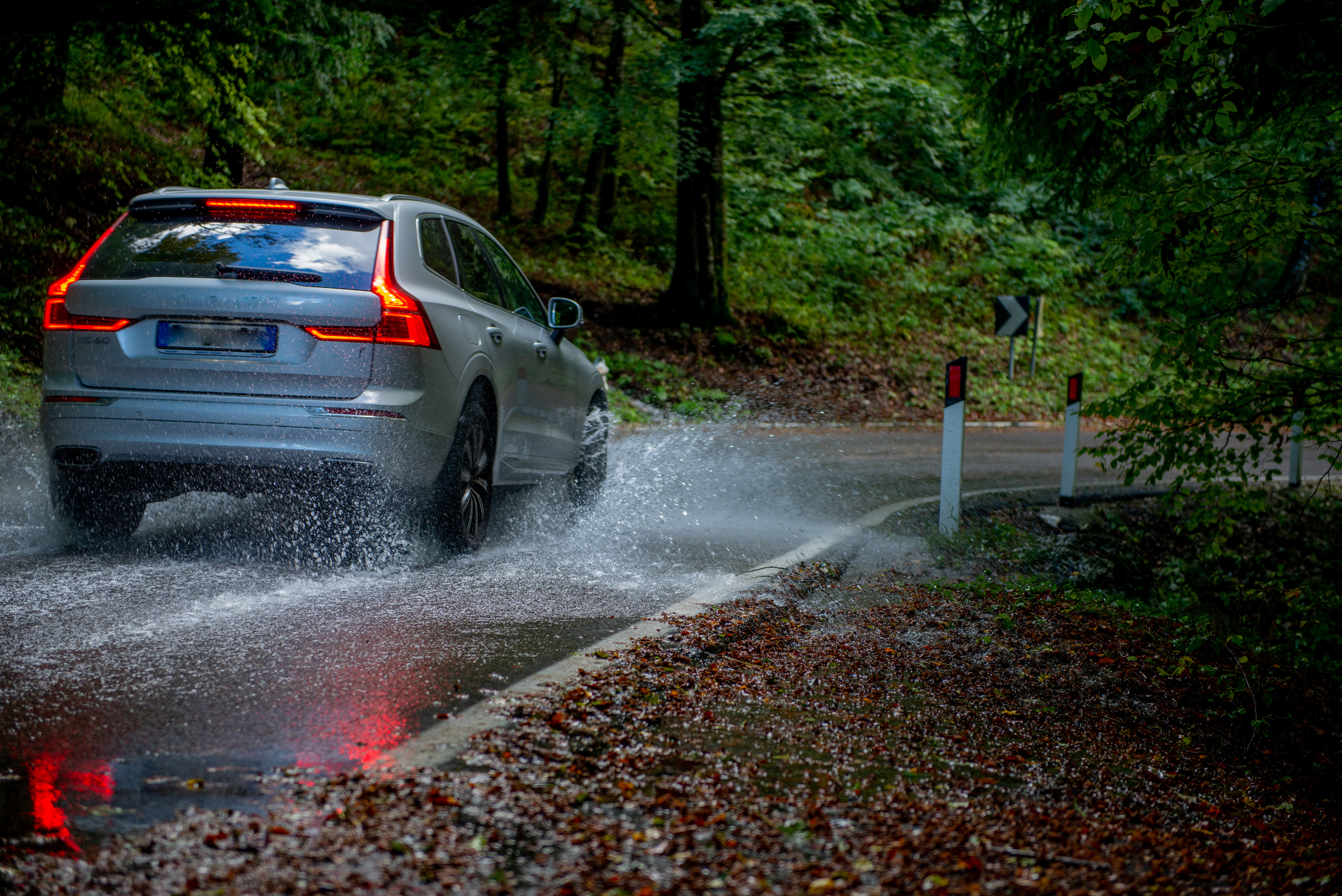 Dreamstime L 198073291